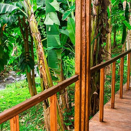 Eco-Por Villa Rio do Ouro ภายนอก รูปภาพ