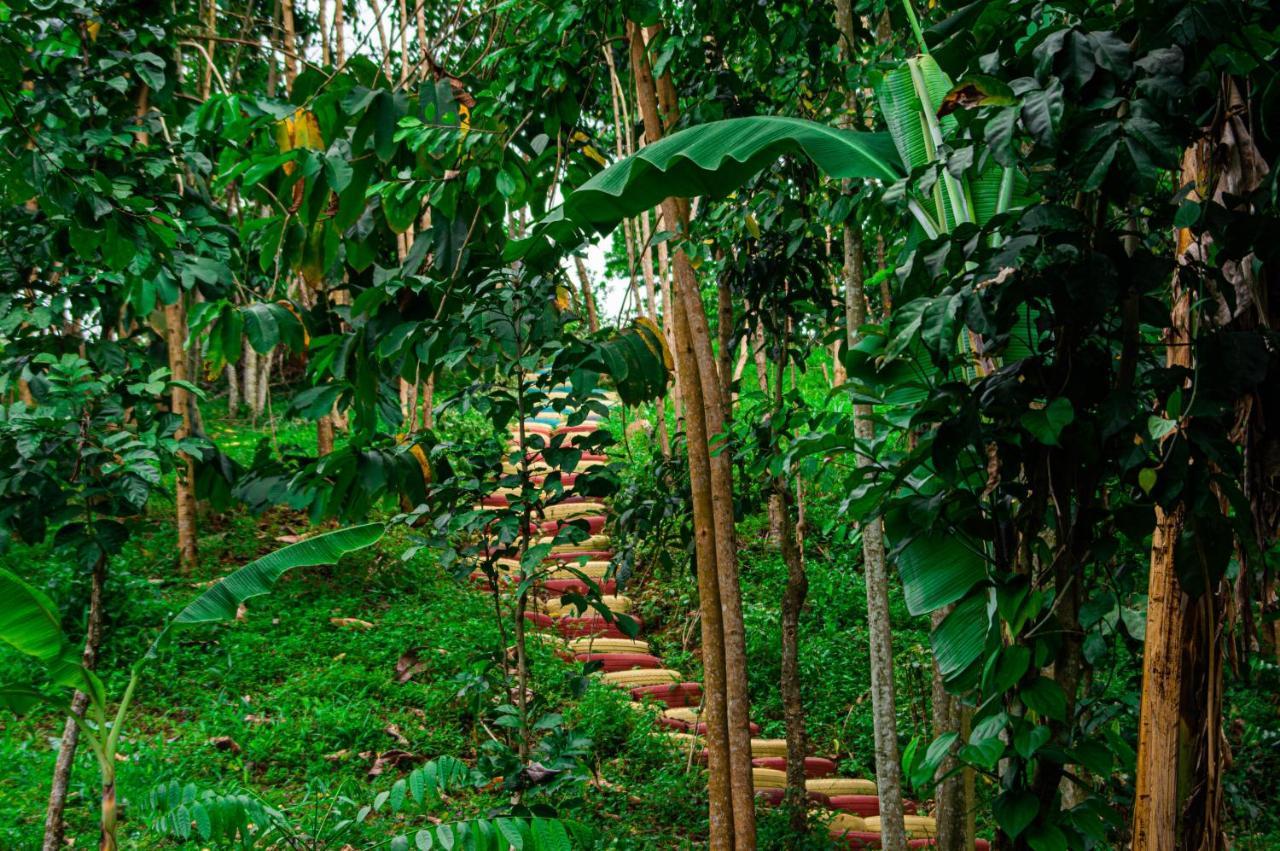 Eco-Por Villa Rio do Ouro ภายนอก รูปภาพ