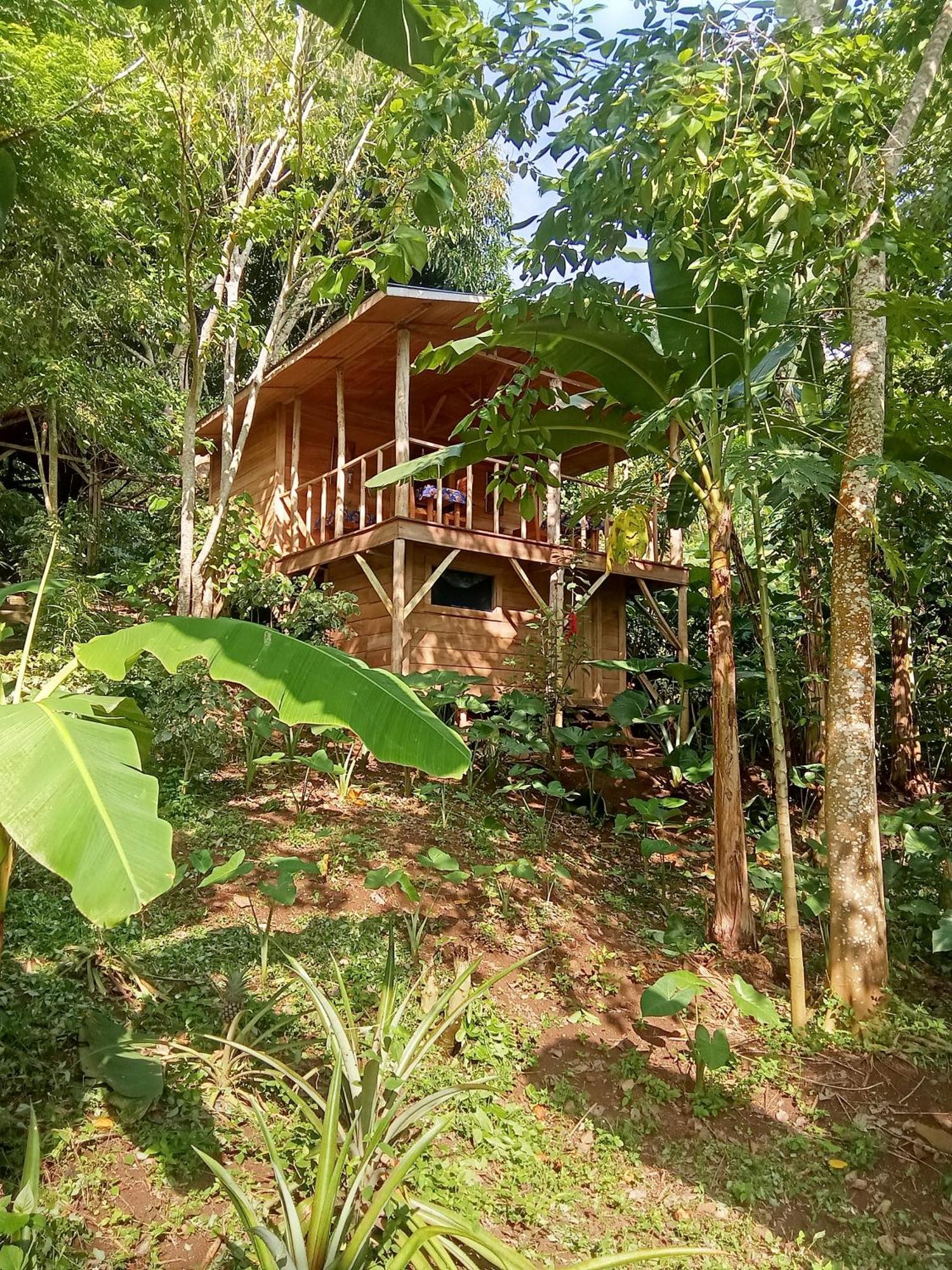Eco-Por Villa Rio do Ouro ภายนอก รูปภาพ